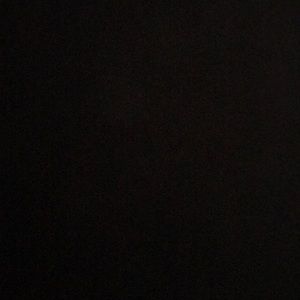 Meet your Posher, Bella